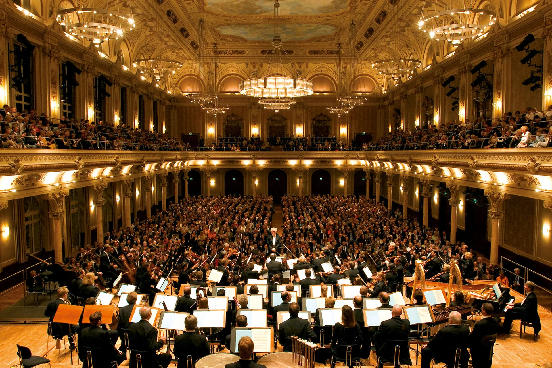 Enis Bešlagić - Wuppertal